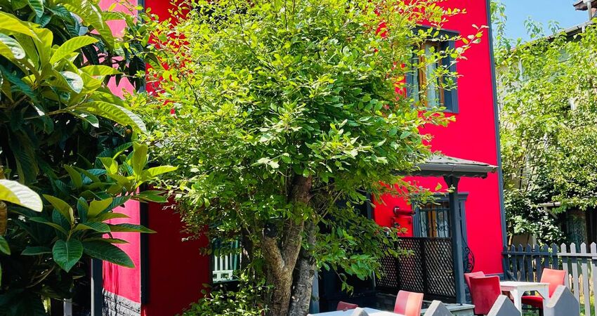 Ağva Aşıklar Villa